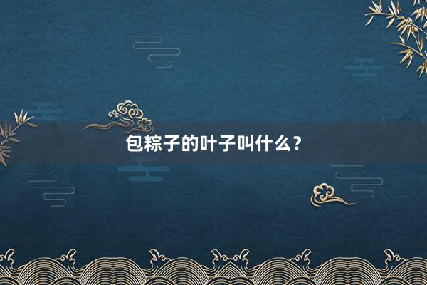 包粽子的叶子叫什么？