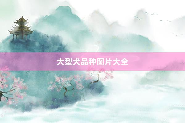 大型犬品种图片大全